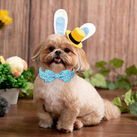 Easter Day Dog Collar with Bowtie