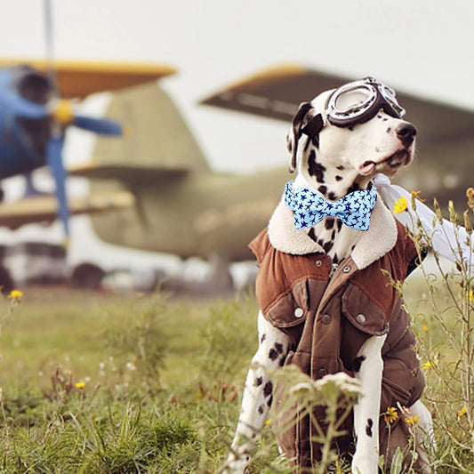 Jet Blue Dog BowTie Collar